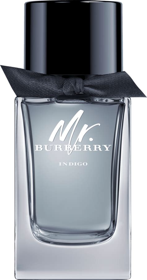 perfume mr burberry indigo 100ml|mr burberry indigo price.